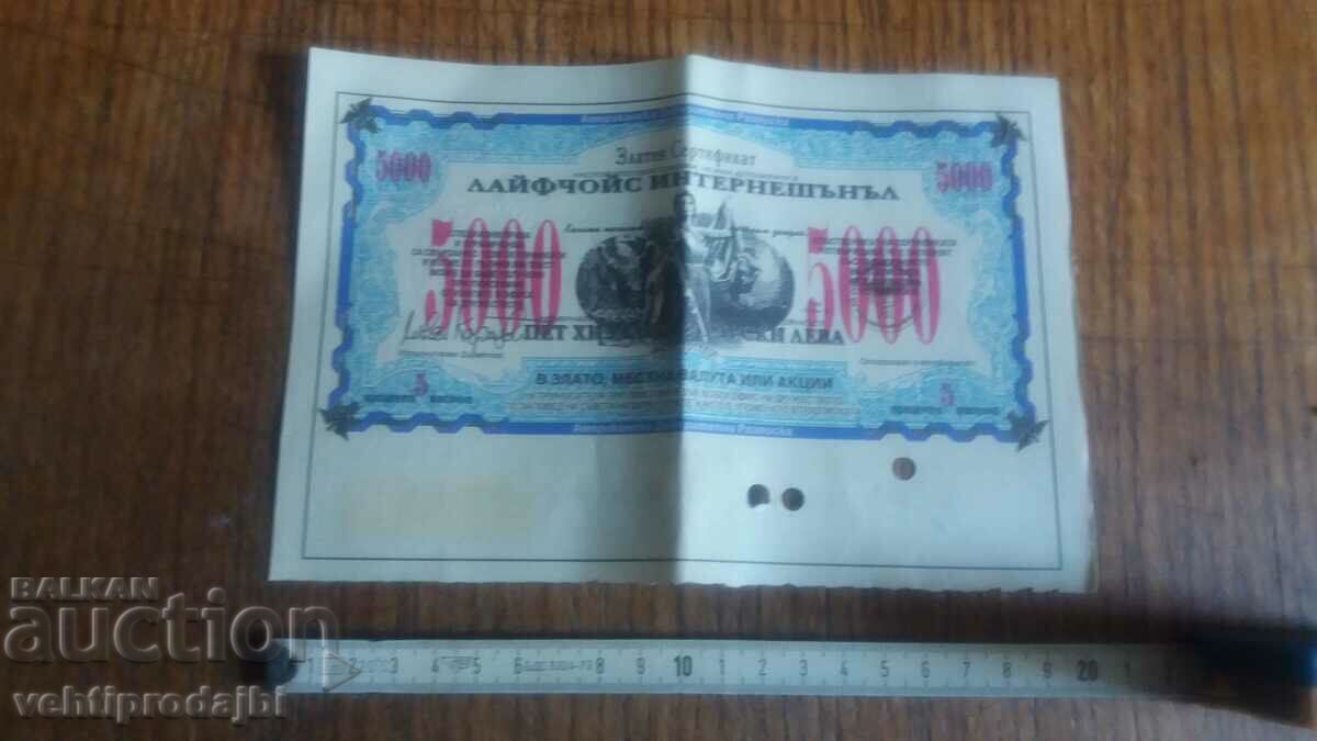 Auction A payment document Auction A payment document