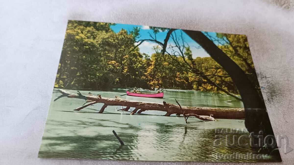Пощенска картичка Варна Река Камчия 1960