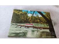 Postcard Varna Kamchia River 1960