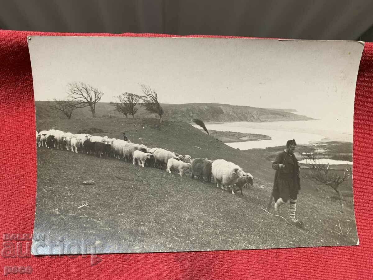 Un cioban cu turma lui Muntele Strandzha Gura lui Veleka?
