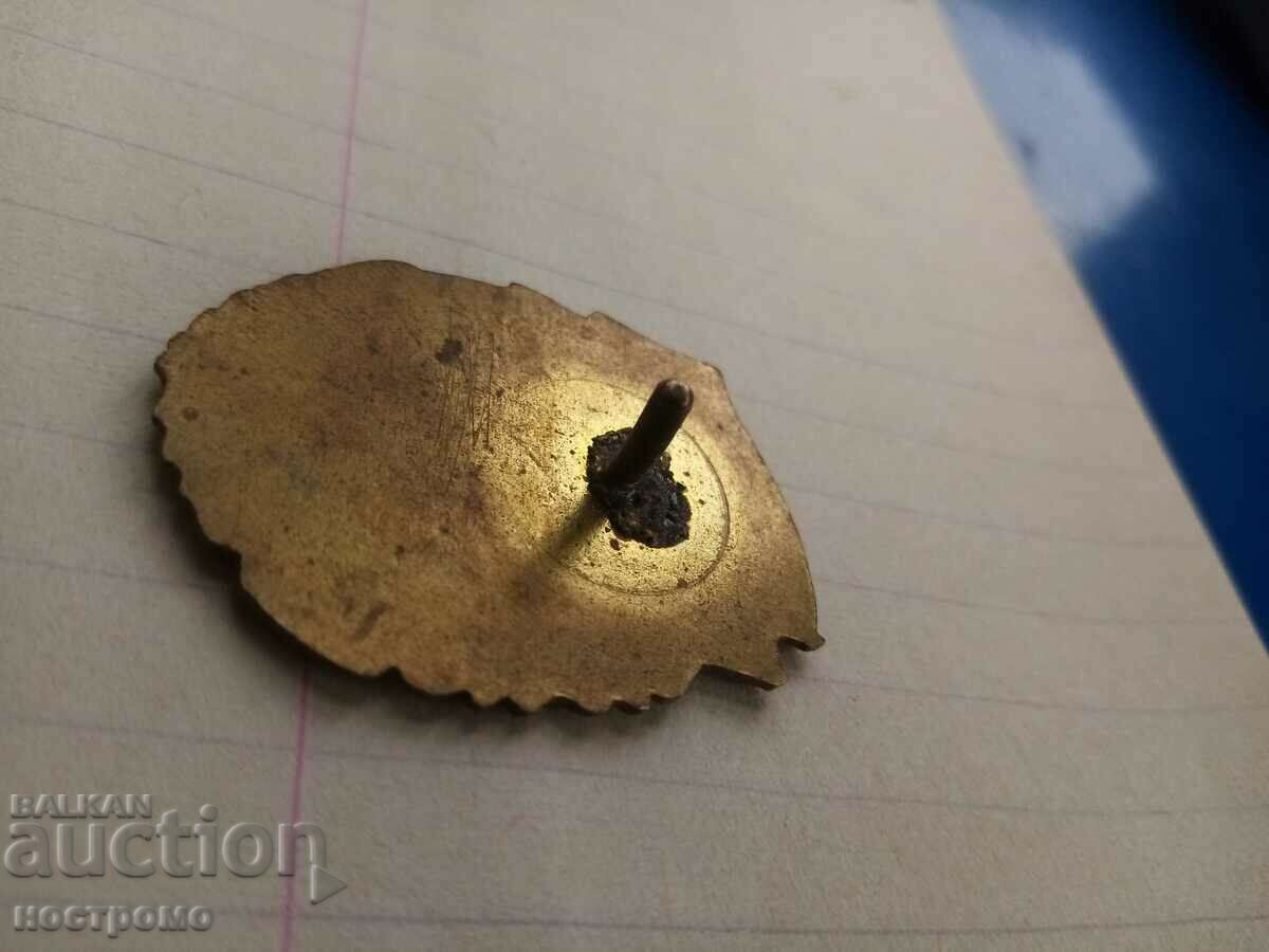 Bronze and enamel - BNA Excellent - A 360 with price 5.00 BGN | € 2.56 Bronze and enamel - BNA Excellent - A 360 with price 5.00 BGN | € 2.56