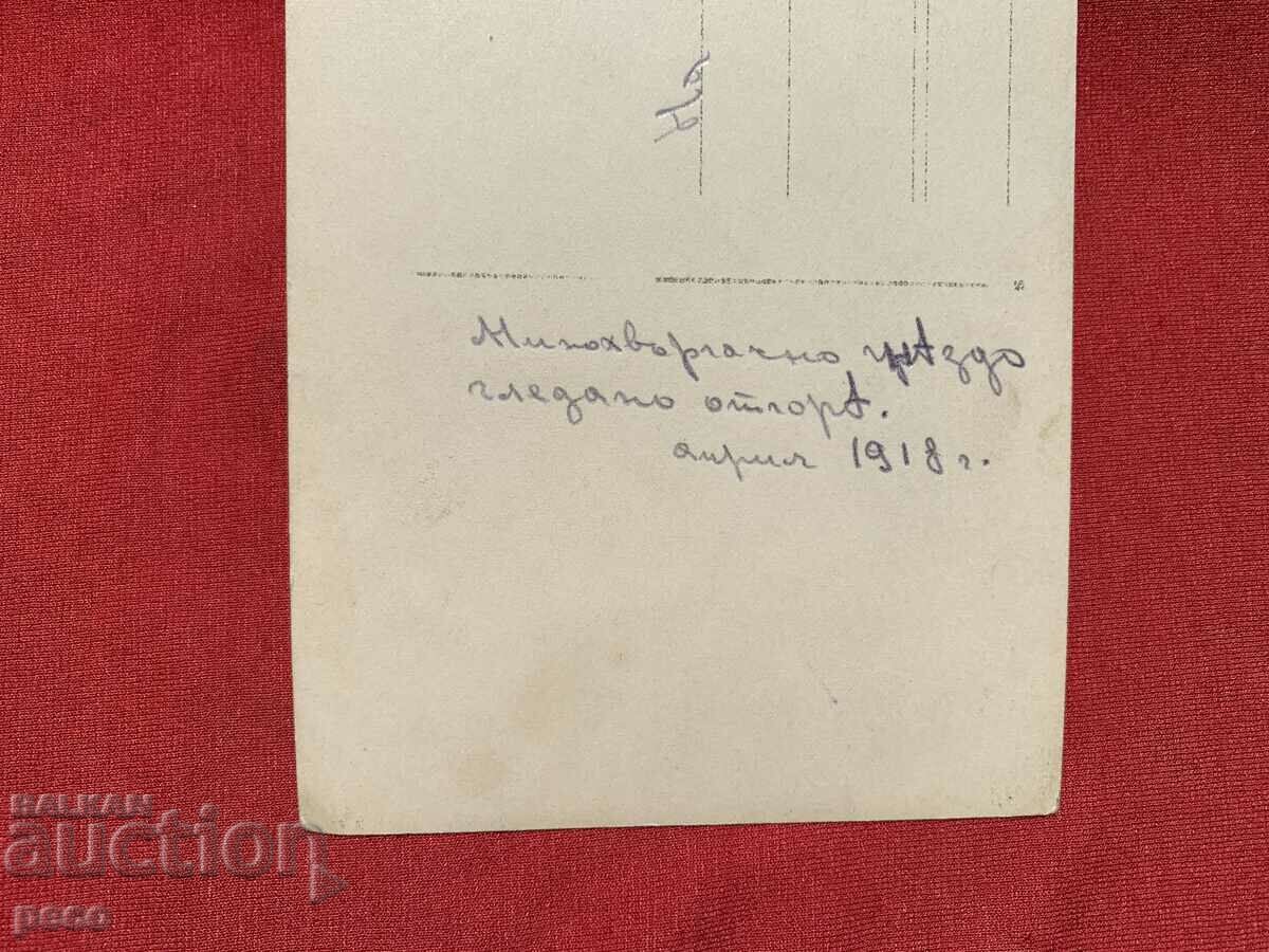 Mortar nest seen from above 1918 PSV - 7