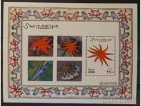 Somalia 2001 Fauna/Starfish Block €10 MNH