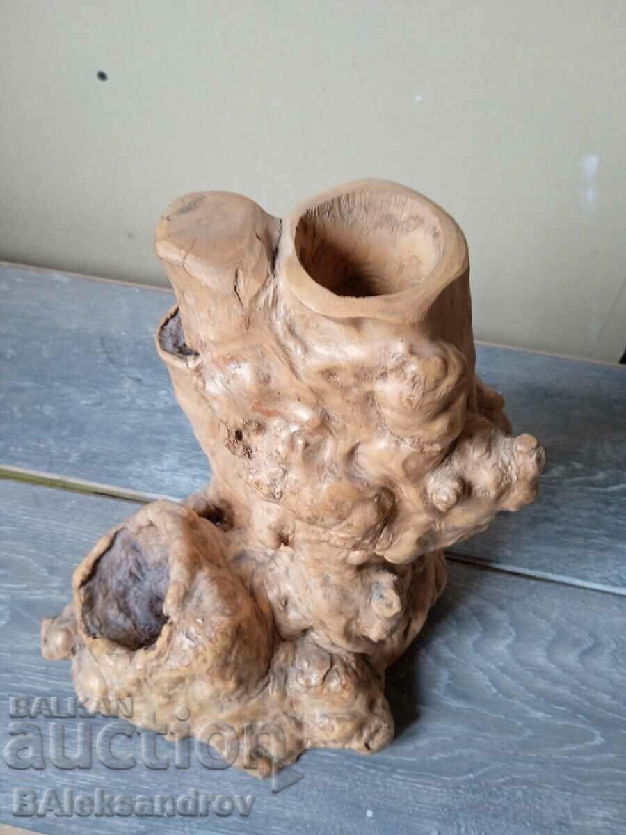 Auction A beautiful woody tumor formation Auction A beautiful woody tumor formation