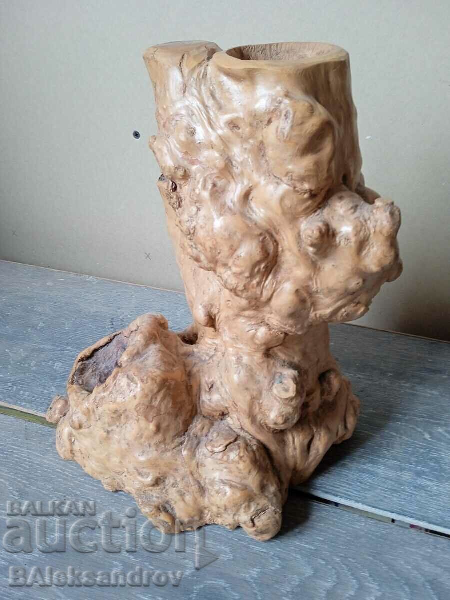 A beautiful woody tumor formation - 5 A beautiful woody tumor formation - 5