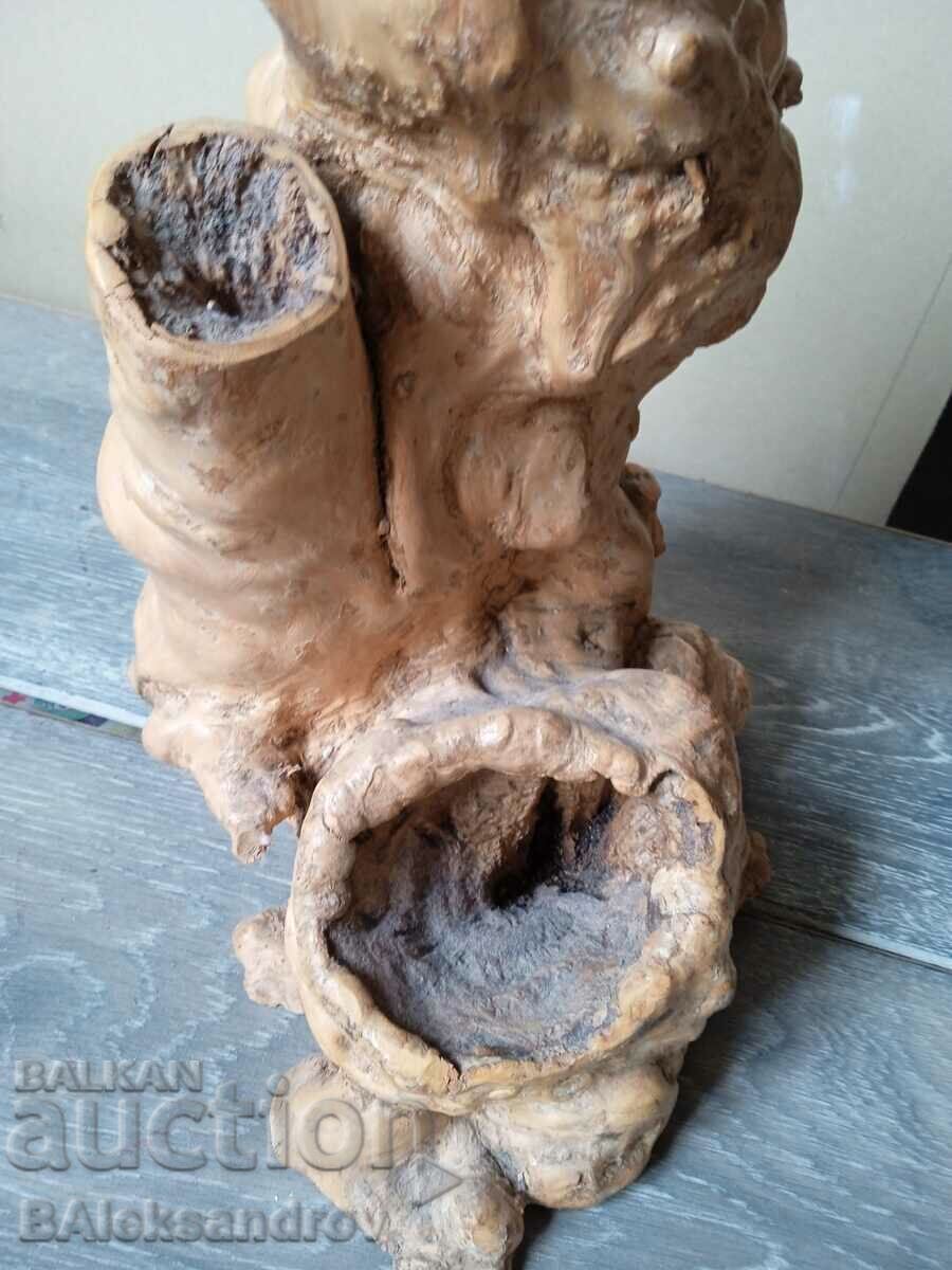 A beautiful woody tumor formation - 6 A beautiful woody tumor formation - 6