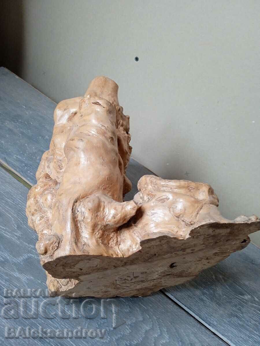 A beautiful woody tumor formation - 7 A beautiful woody tumor formation - 7