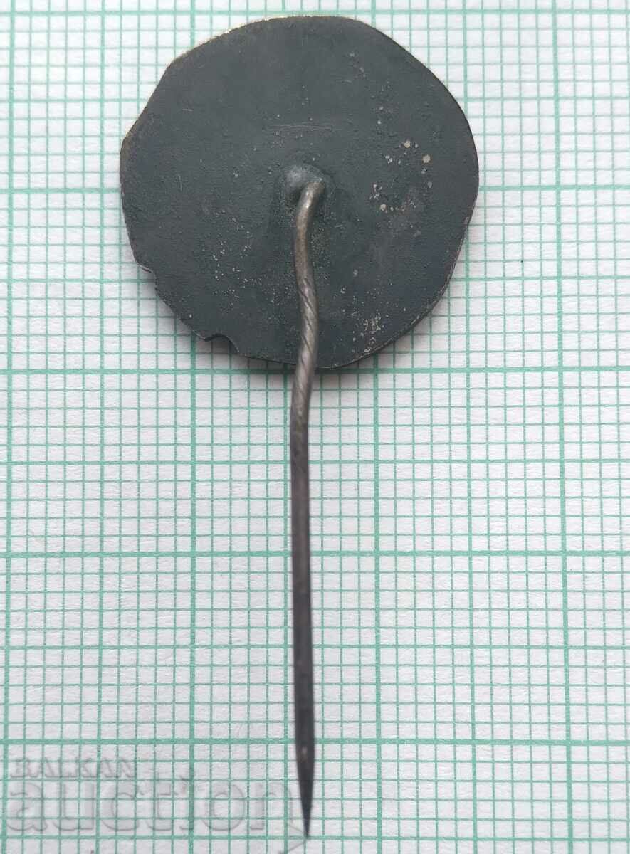 Auction 12788 Badge - Vuk Karadzic - Serbian linguist Auction 12788 Badge - Vuk Karadzic - Serbian linguist