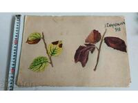 1940 OLD DRAWING PAINTING