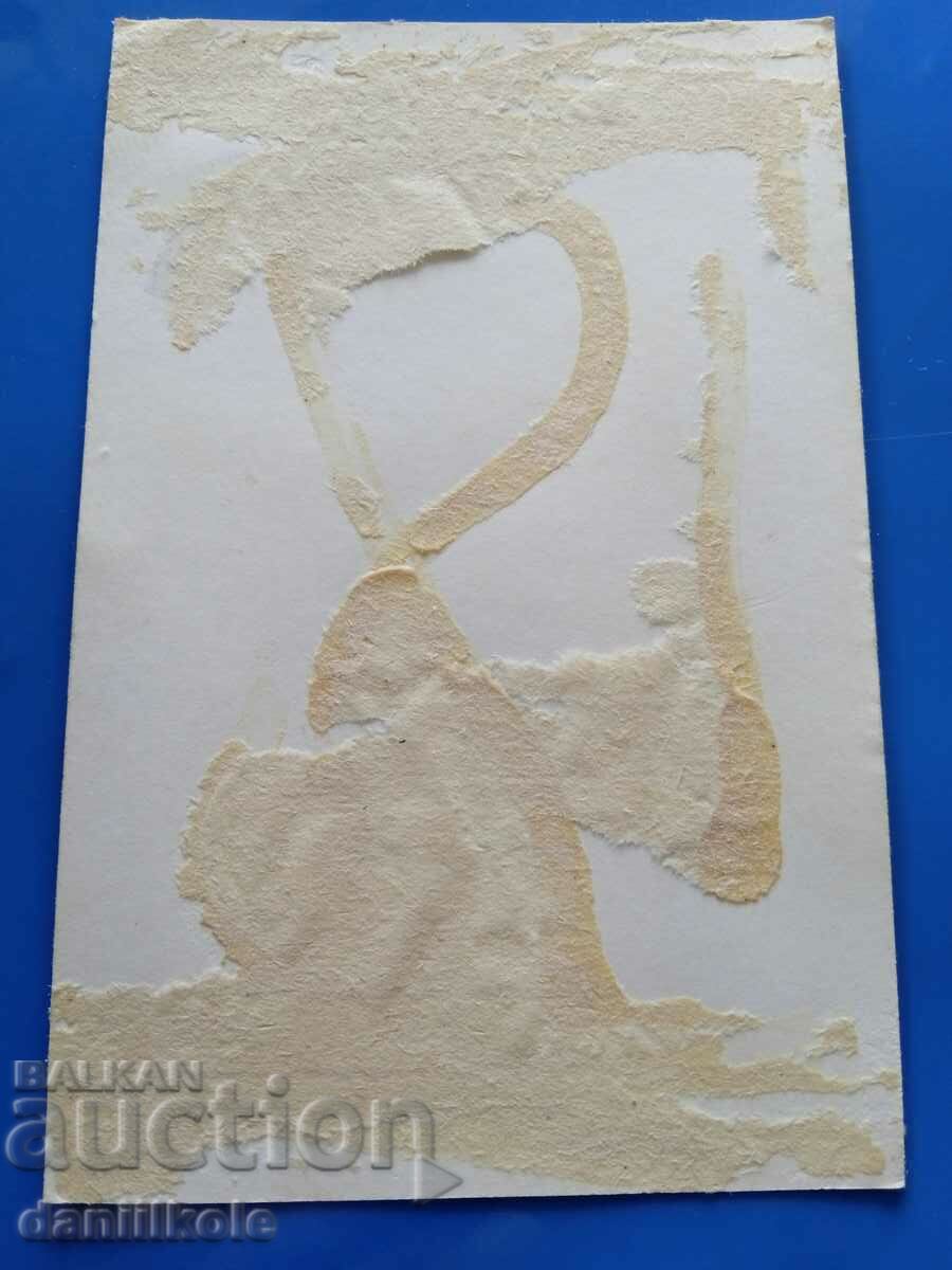 *$*Y*$* AUTOGRAFUL LUI LILY IVANOVA - FOTO/CARD *$*Y*$* - 5