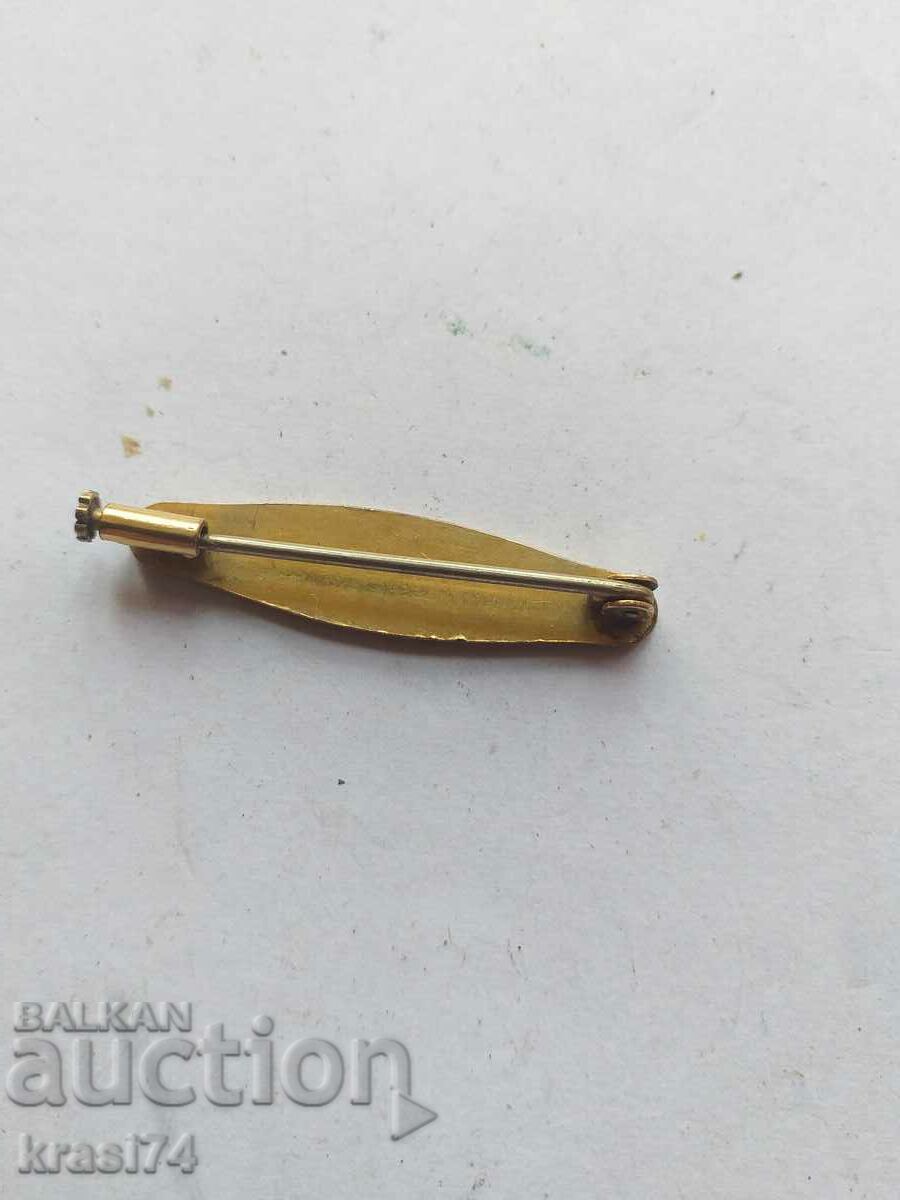 Gold-plated brooch with price 10.00 BGN | € 5.11 Gold-plated brooch with price 10.00 BGN | € 5.11