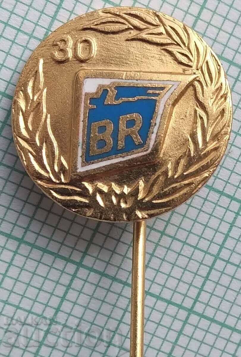 12807 Badge - 30g BR - bronze enamel