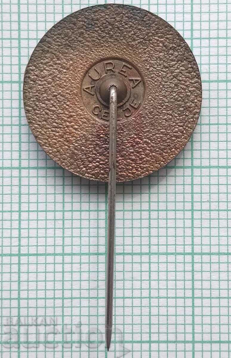 Auction 12810 Badge - 30g Secondary raw materials Skopje Auction 12810 Badge - 30g Secondary raw materials Skopje