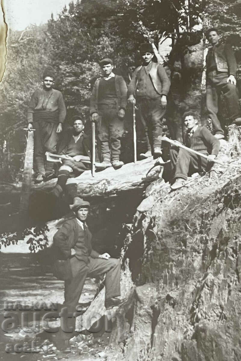 Logging Lumberjacks with price 9.99 BGN | € 5.11 Logging Lumberjacks with price 9.99 BGN | € 5.11