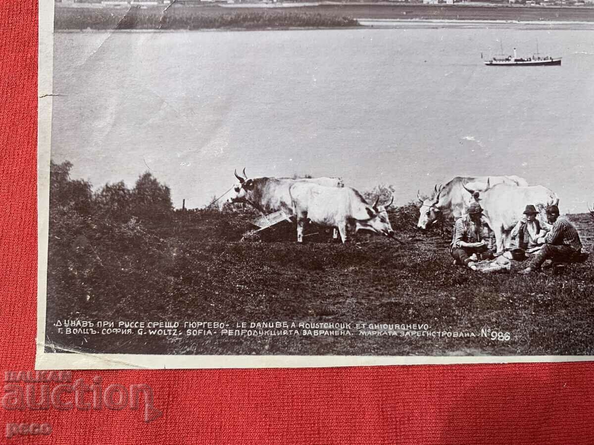 Danube near Ruse Georg Volz old photo with price 100.00 BGN | € 51.13 Danube near Ruse Georg Volz old photo with price 100.00 BGN | € 51.13