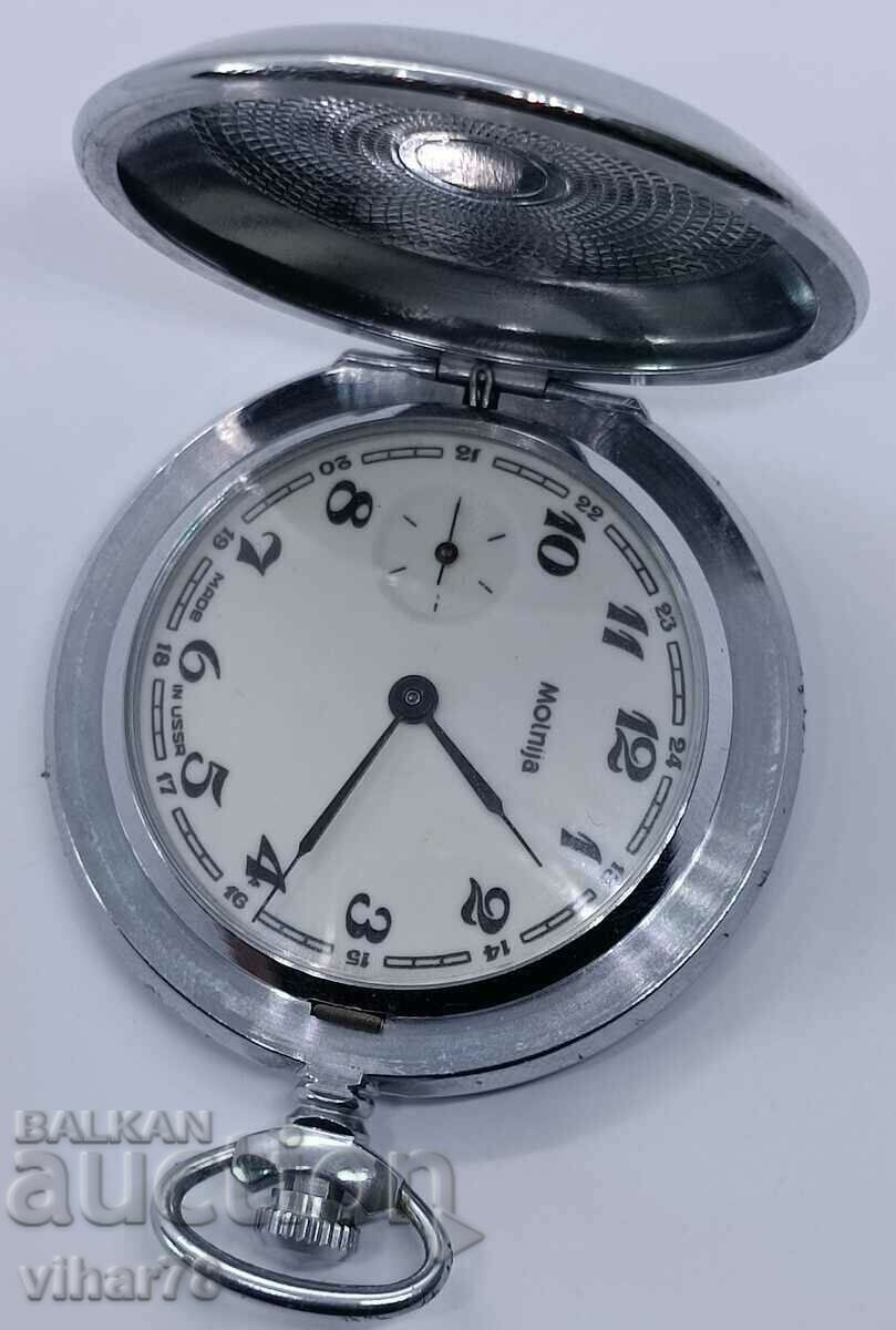 Livrarea ceas de buzunar cu fermoar