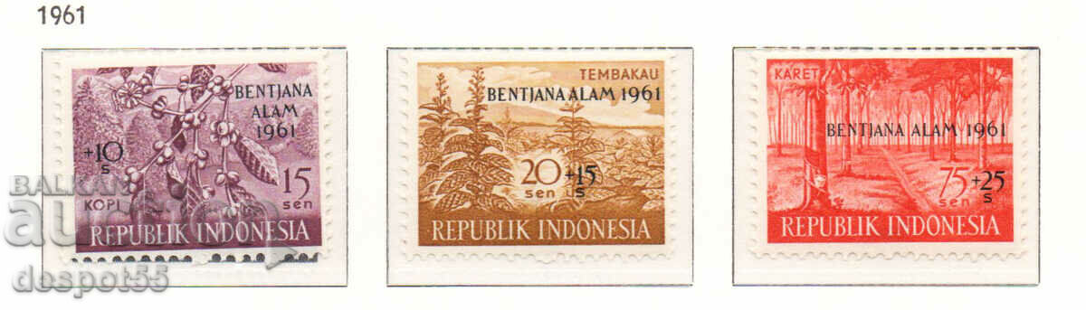 1961. Indonezia. Fondul de daune prin inundații.