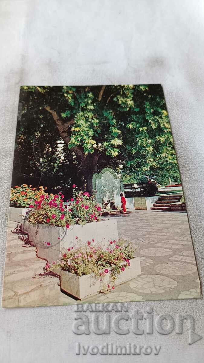 Пощенска картичка Сандански Старият чинар 1982