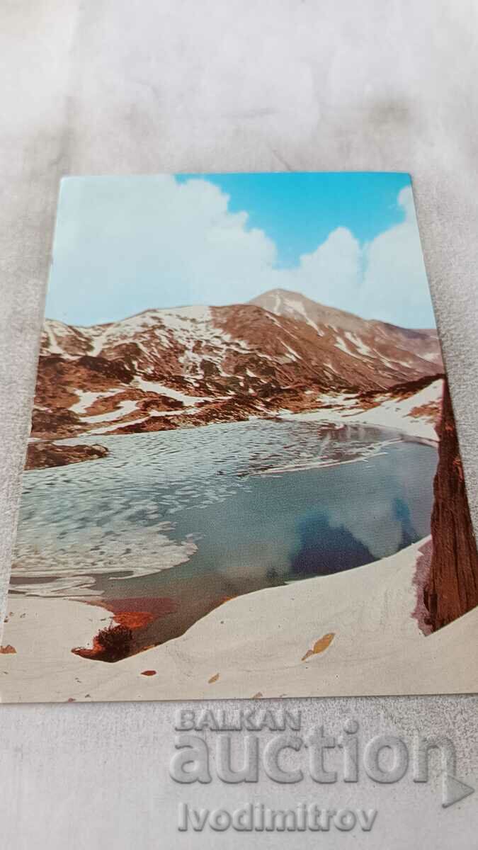 Postcard Pirin 1982
