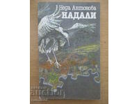 No way - Neda Antonova