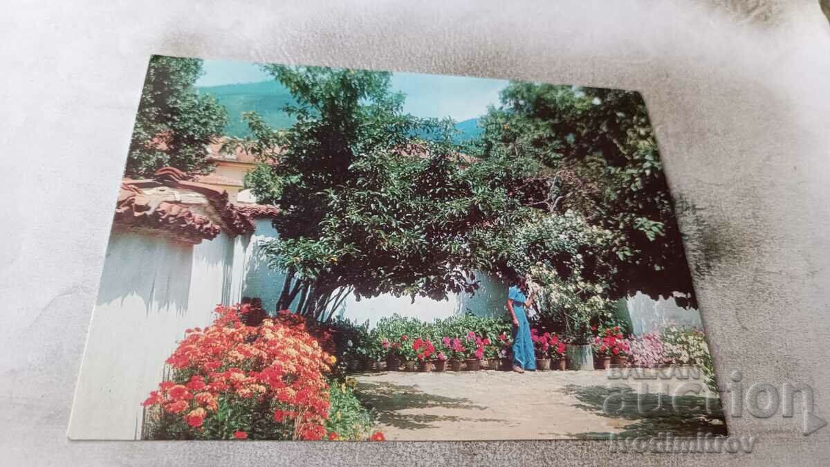 Καρτ ποστάλ Sopot Corner από την αυλή του Vase House 1975