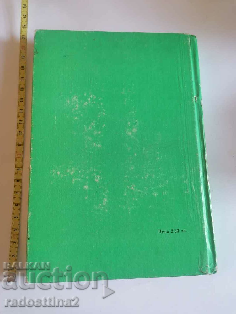 Bulgaria's football globe with price 4.99 BGN | € 2.55 Bulgaria's football globe with price 4.99 BGN | € 2.55