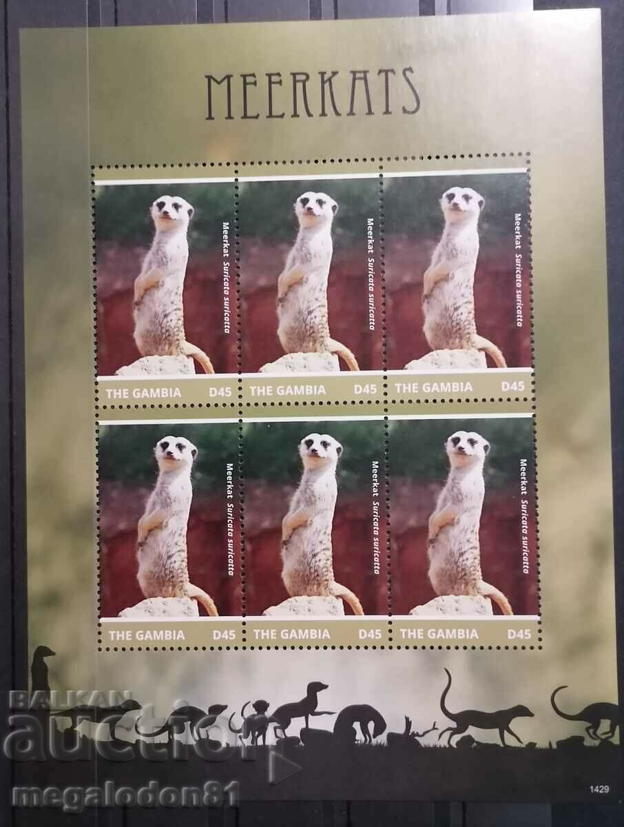 Gambia - fauna, meerkat with price 20.00 BGN | € 10.23 Gambia - fauna, meerkat with price 20.00 BGN | € 10.23
