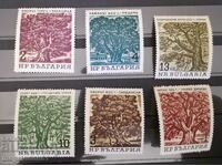 Bulgaria - centuries-old trees, 1964