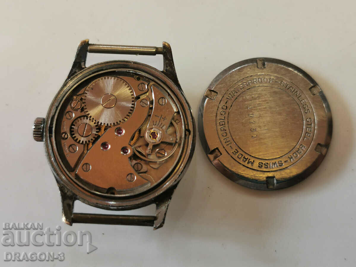 SILVANA with price 55.00 BGN | € 28.12