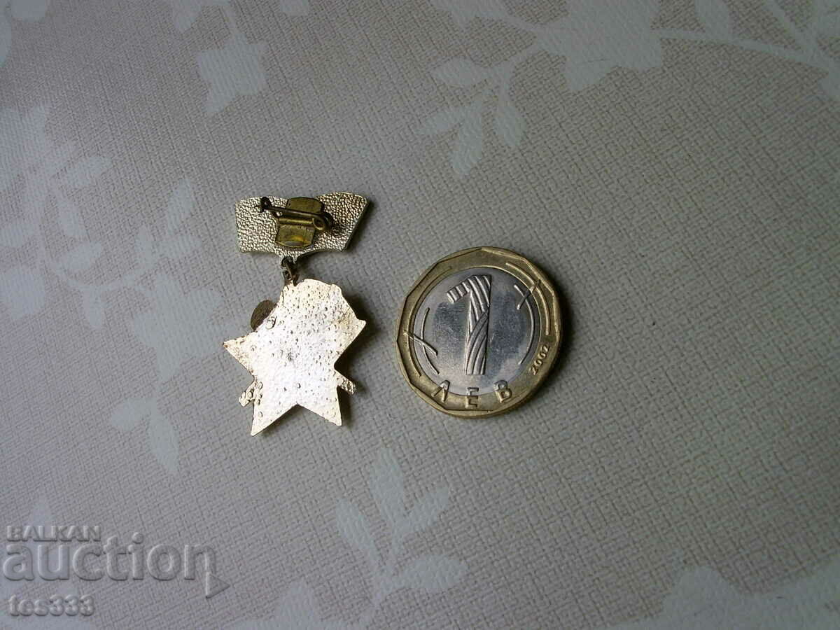 Licitație Insignă Construim pentru patrie Licitație Insignă Construim pentru patrie