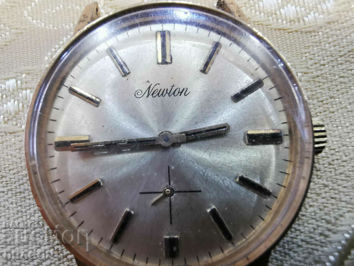 GOLDEN NEWTON with price 45.00 BGN | € 23.01