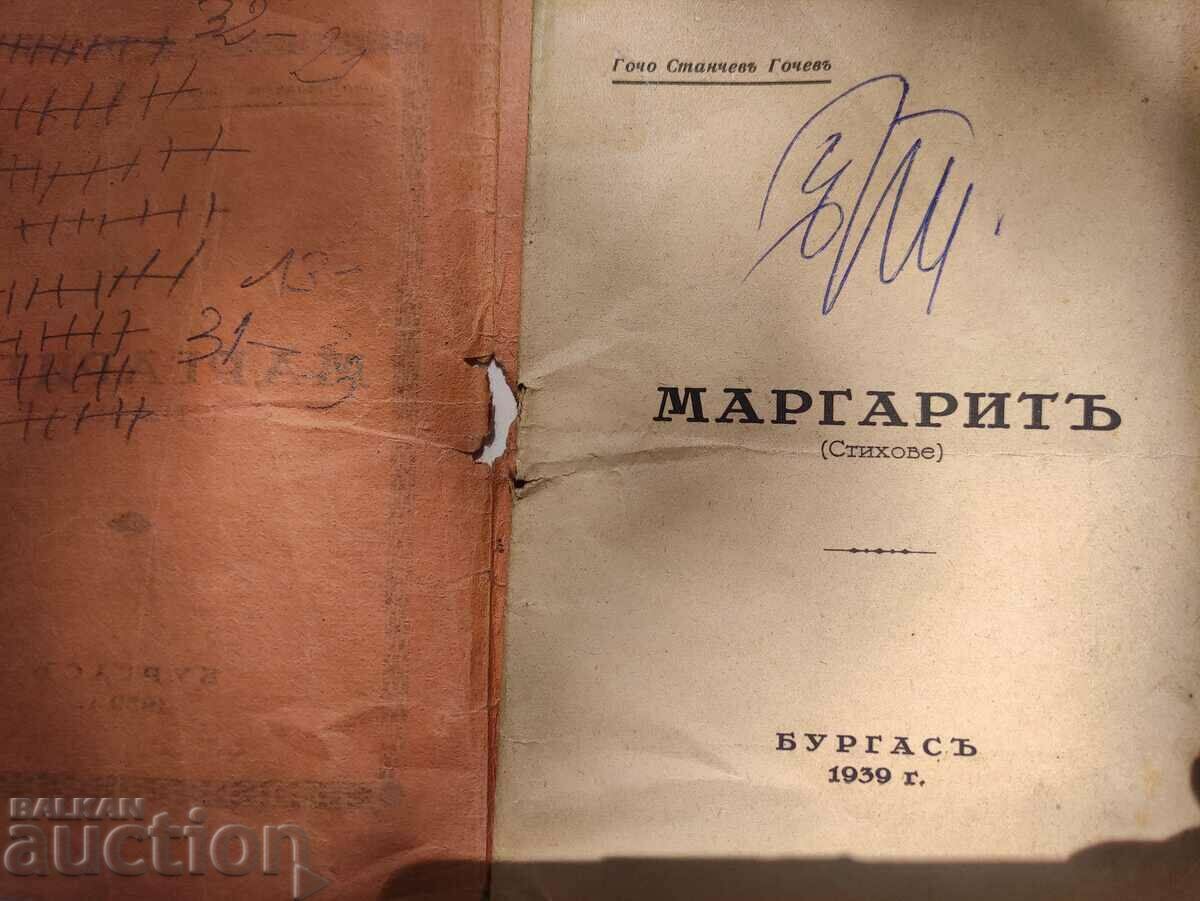 Marguerite. Gocho Stanchev Gochev - Burgas - 5 Marguerite. Gocho Stanchev Gochev - Burgas - 5