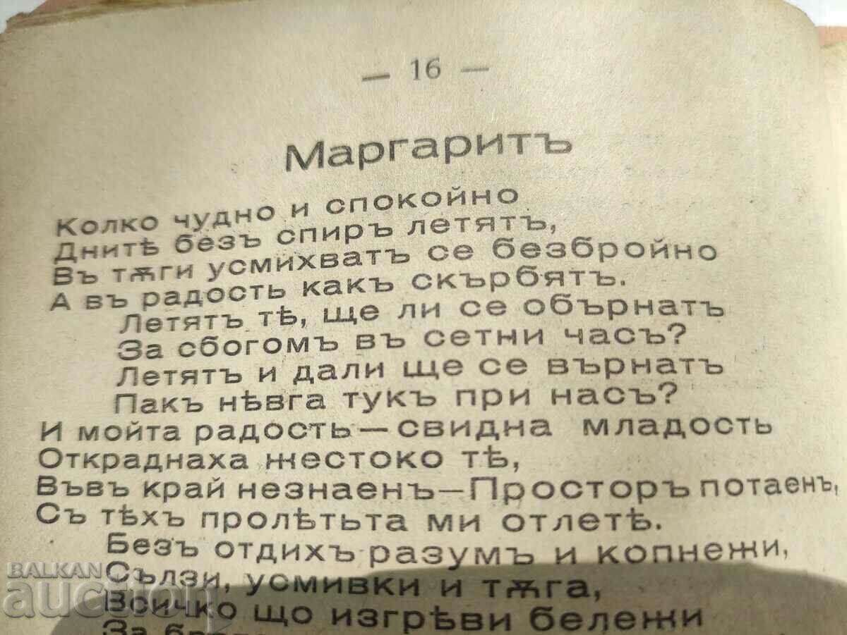 Marguerite. Gocho Stanchev Gochev - Burgas - 6 Marguerite. Gocho Stanchev Gochev - Burgas - 6