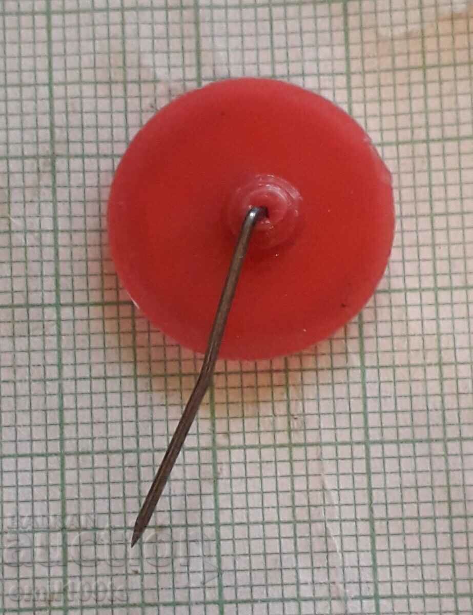 Delivery of Badge - Stefan Danailov Delivery of Badge - Stefan Danailov