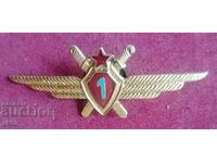 Old social pilot badge - I class.
