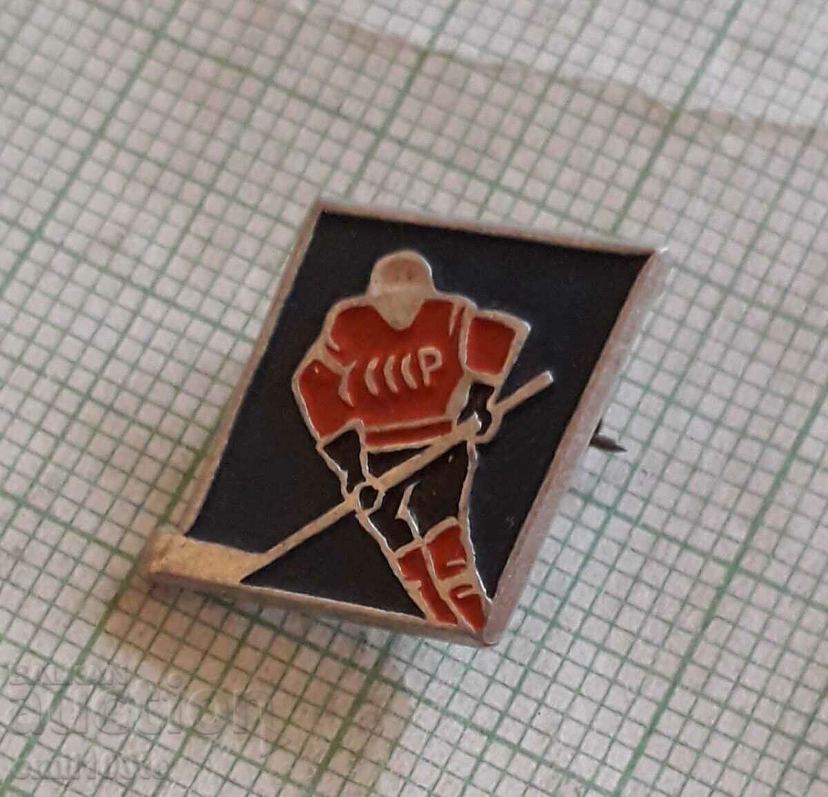 Licitație Insigna - jucător de hochei al URSS