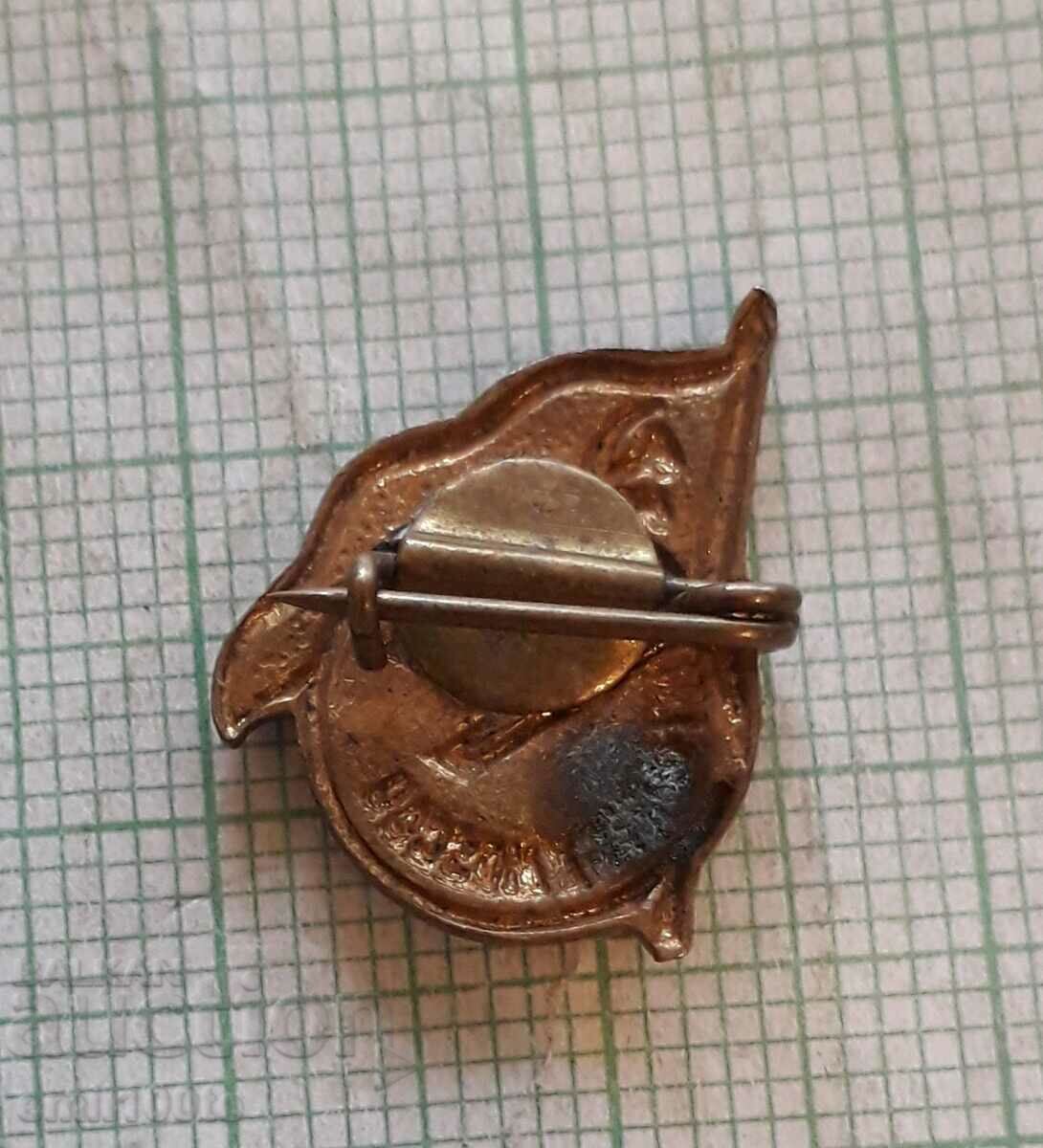 Delivery of Badge - Tourist Moscow USSR