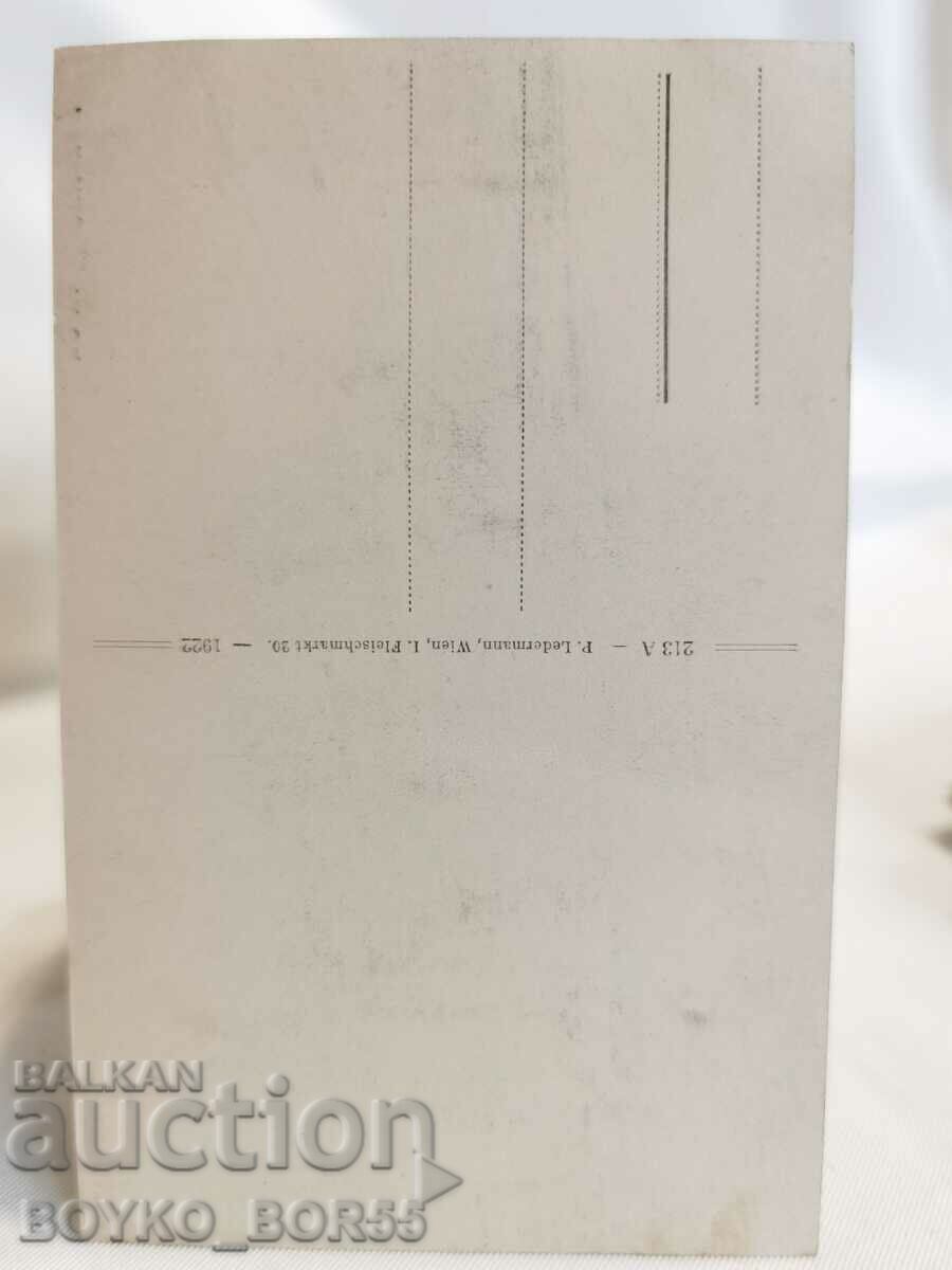 Old Postcard Laxenburg Austria Early 20th c with price 35.00 BGN | € 17.90