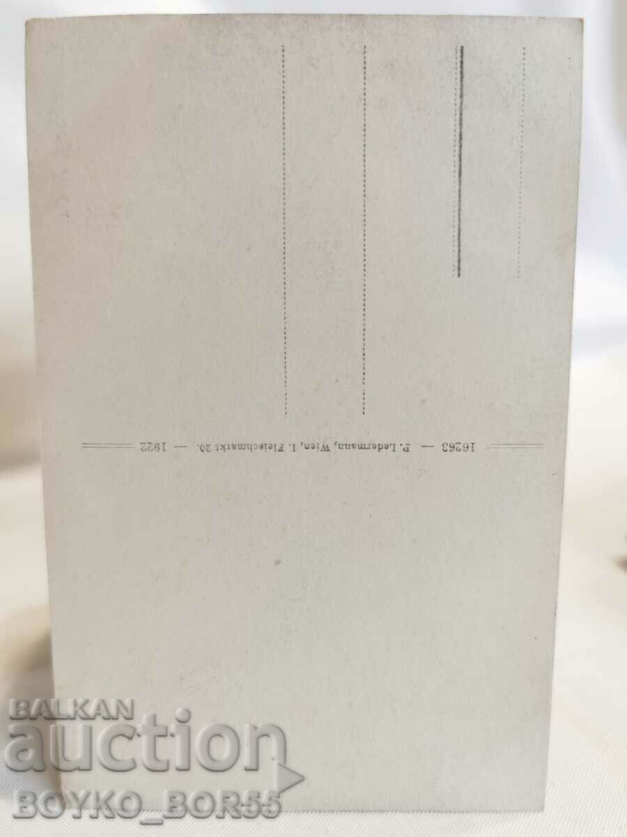 Old Postcard Laxenburg Austria Early 20th c with price 35.00 BGN | € 17.90 Old Postcard Laxenburg Austria Early 20th c with price 35.00 BGN | € 17.90