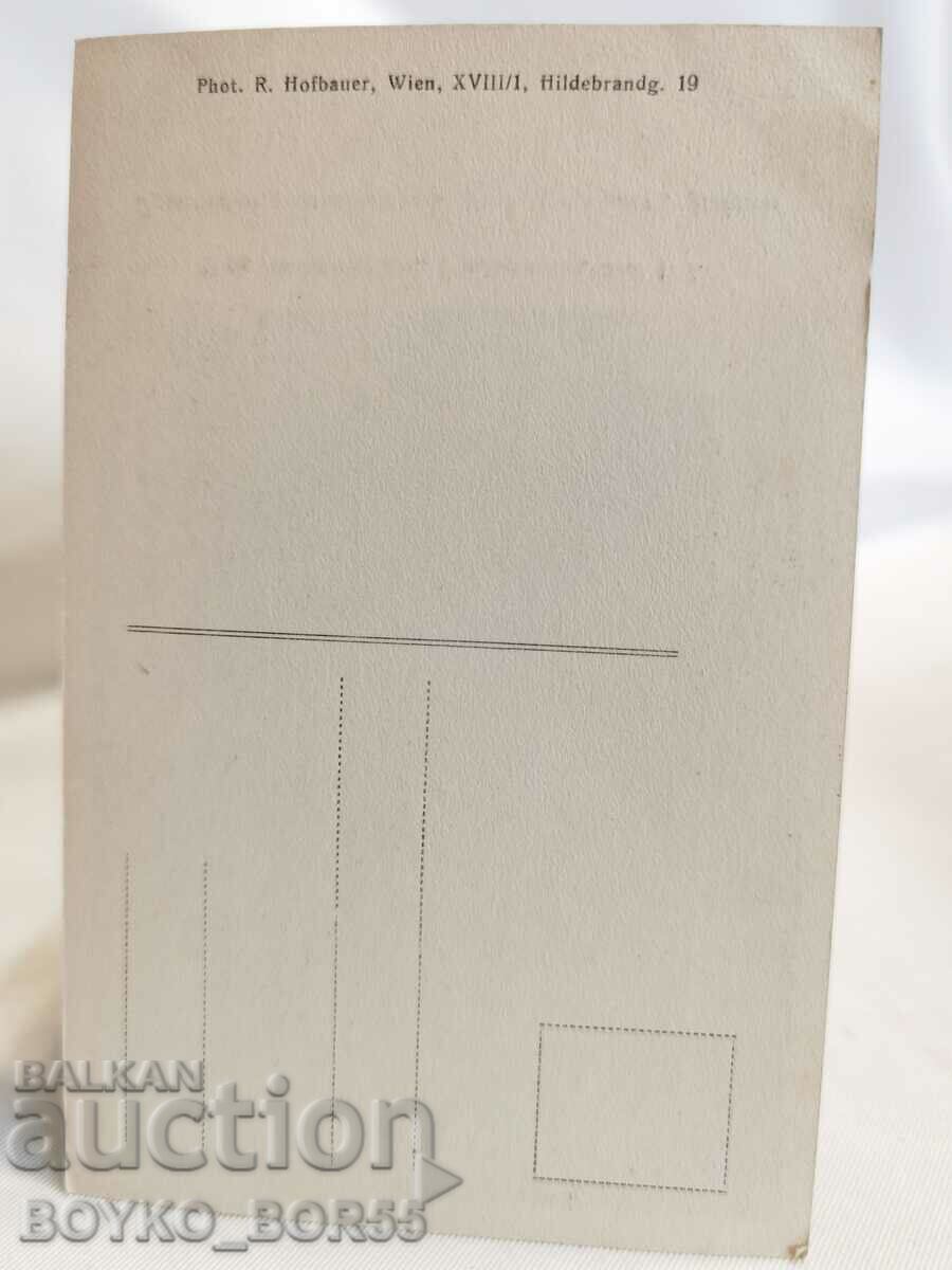 Old Postcard Vienna Early 20th c with price 35.00 BGN | € 17.90 Old Postcard Vienna Early 20th c with price 35.00 BGN | € 17.90