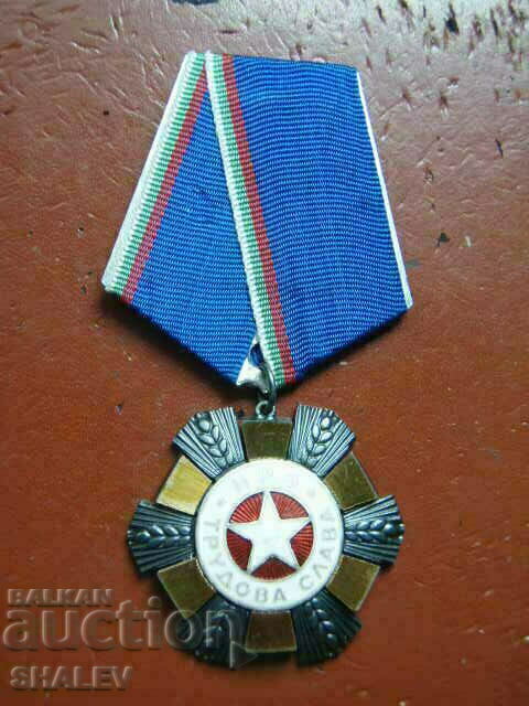 Order "Labour Glory 3rd degree" large bearer (1974) /1/