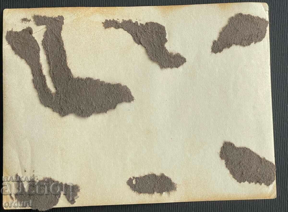 3472 Kingdom of Bulgaria General Mikhail Stoilov Balkan War with price 15.00 BGN | € 7.67 3472 Kingdom of Bulgaria General Mikhail Stoilov Balkan War with price 15.00 BGN | € 7.67