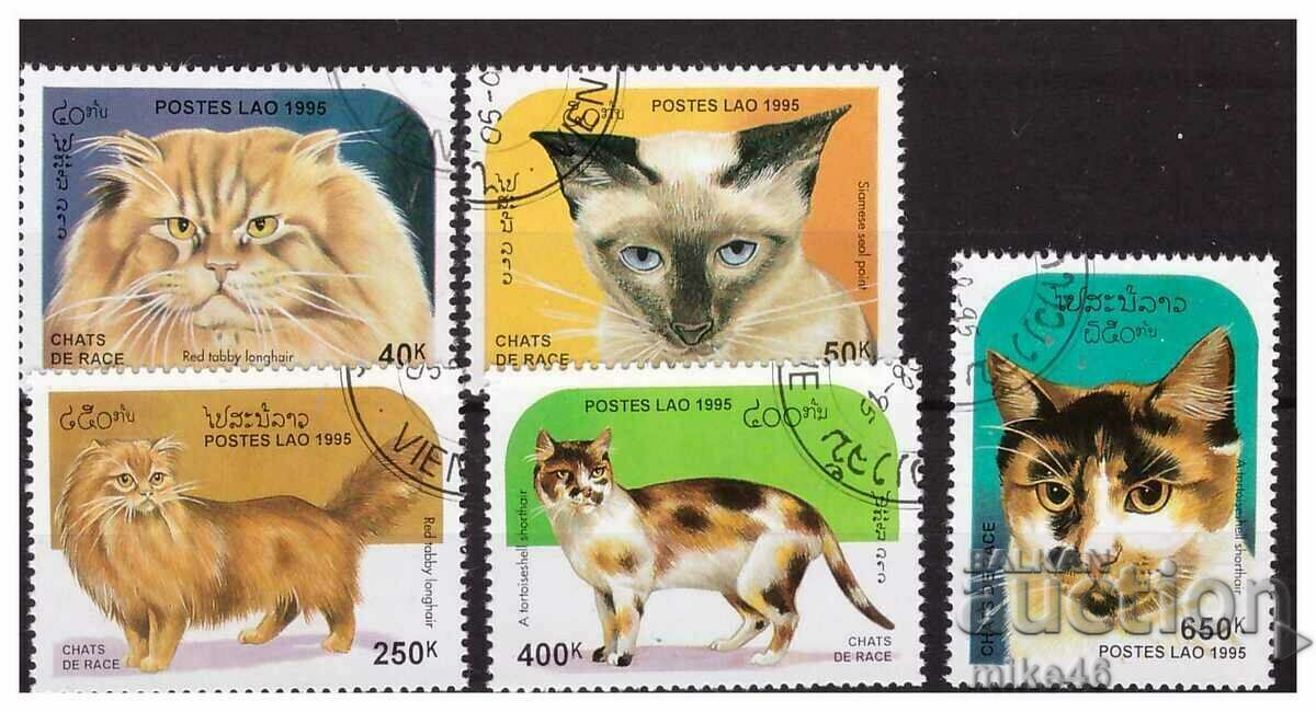 LAOS 1995 Cats series