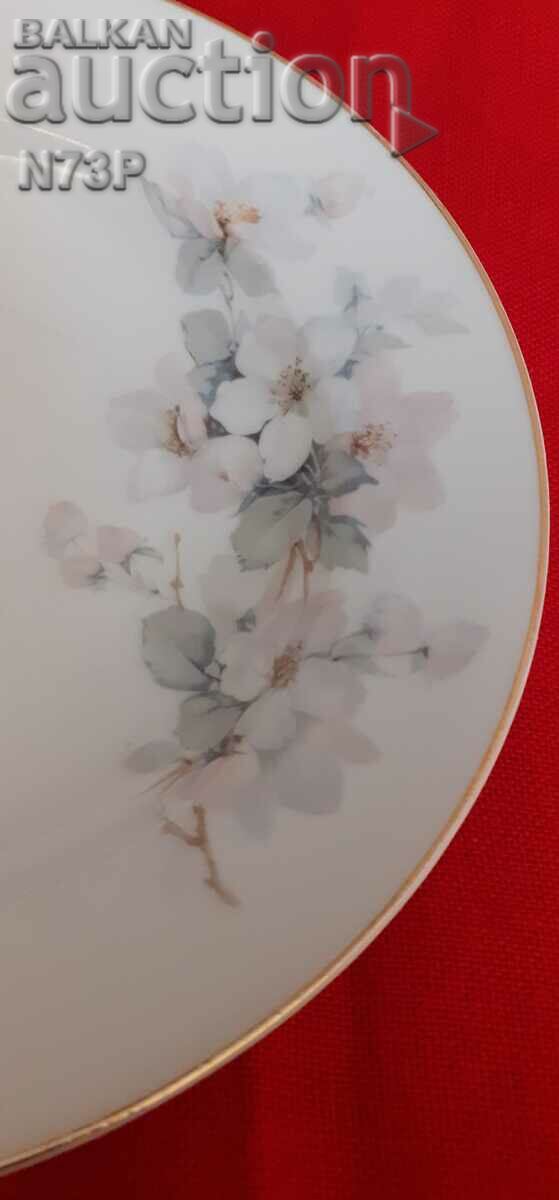PLATĂ DE PORCELAN. COLECTIE. - 5 PLATĂ DE PORCELAN. COLECTIE. - 5