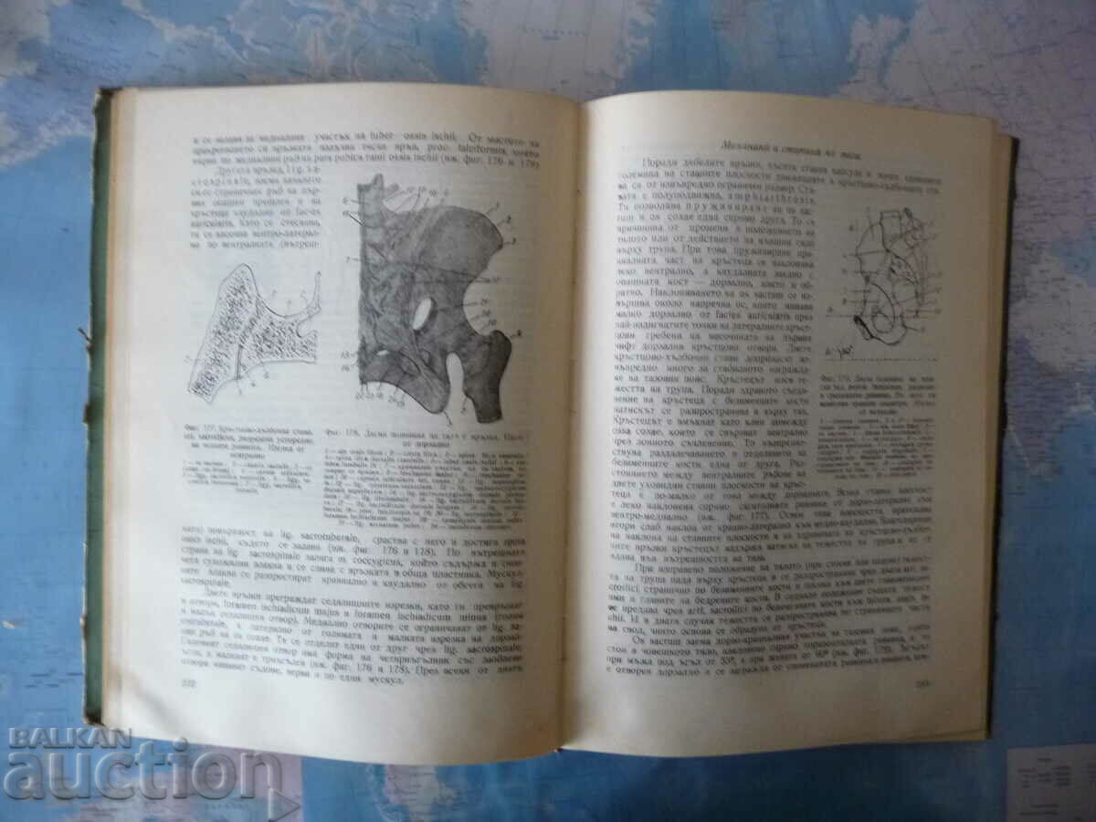 Δημοπρασία Ανατομία των οστών του σκελετού της μηχανής Dimitar Kadanov Δημοπρασία Ανατομία των οστών του σκελετού της μηχανής Dimitar Kadanov