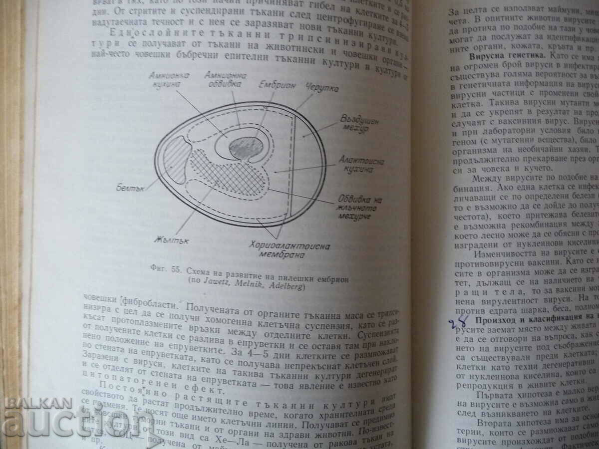 Δημοπρασία Μικροβιολογία λοιμώξεις ανοσίας βακτήρια μικροοργανισμοί Δημοπρασία Μικροβιολογία λοιμώξεις ανοσίας βακτήρια μικροοργανισμοί