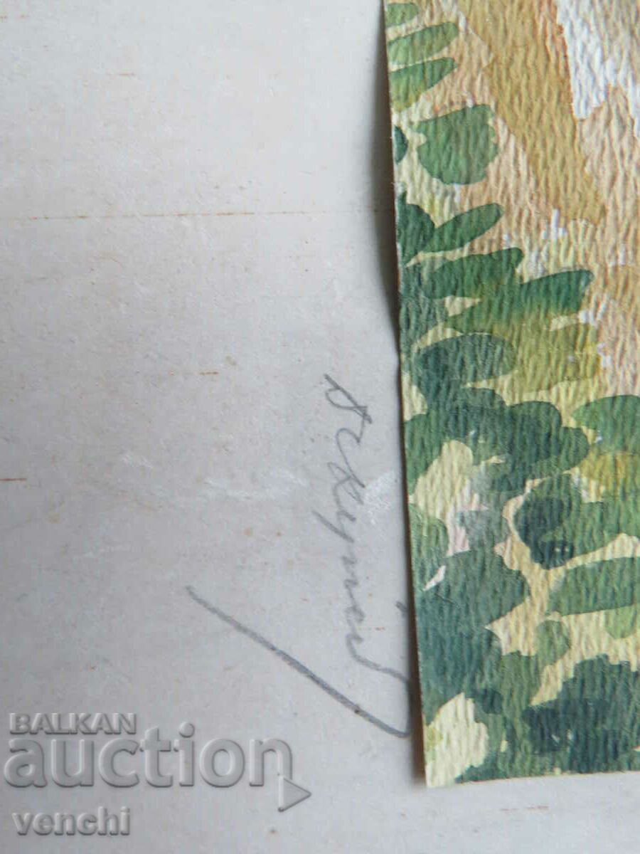 LAPTAR DIN SOFIA - 5