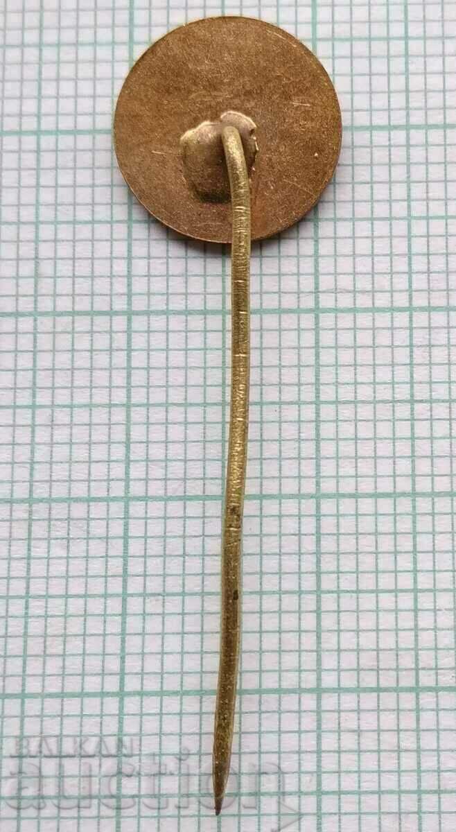 Auction 12898 Badge - Red Cross - diameter 12 mm Auction 12898 Badge - Red Cross - diameter 12 mm