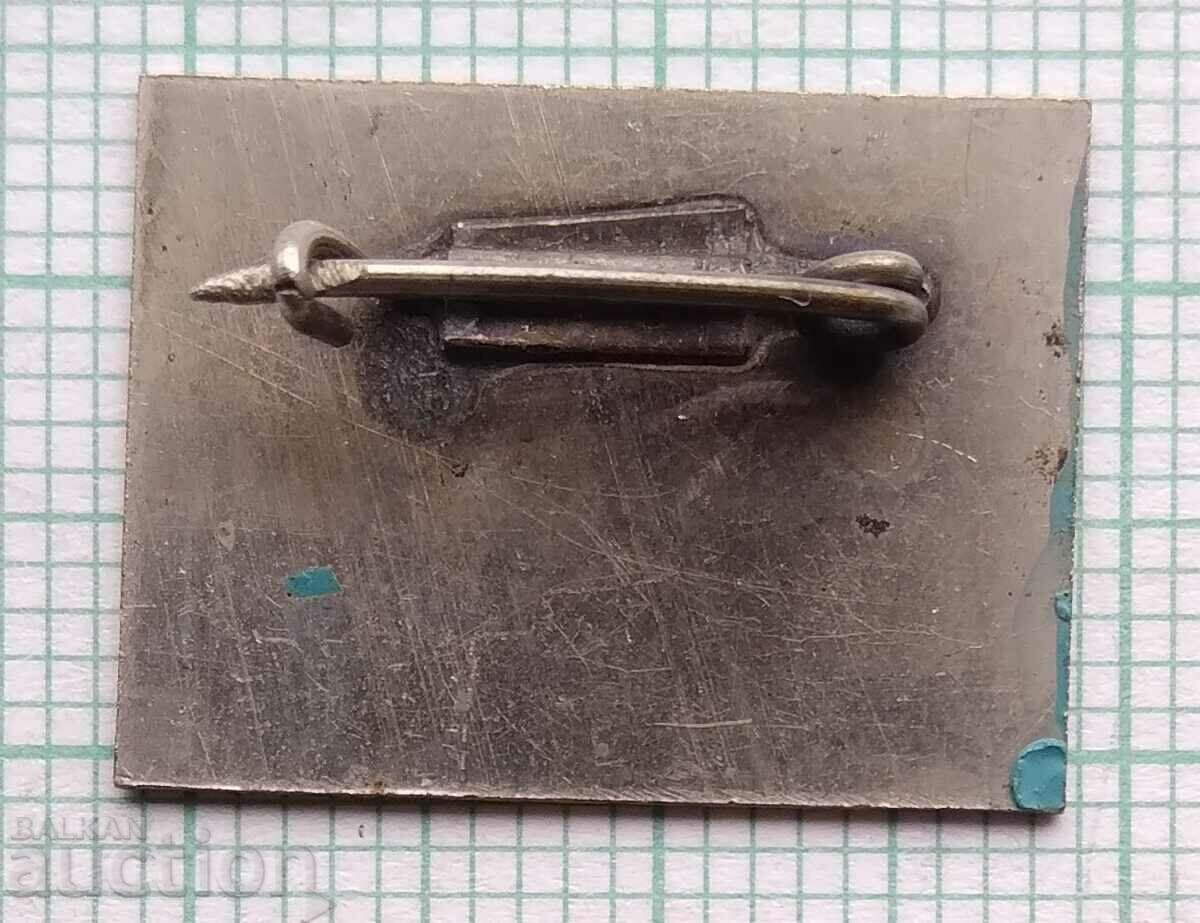 Auction  12906 Badge - Vietnam Red Cross