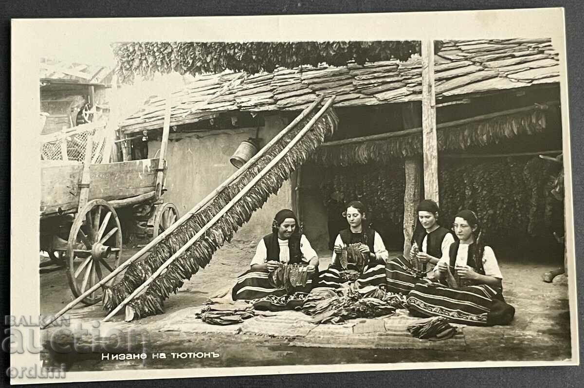 3502 Regatul Bulgariei tutun Nizane anii 1930